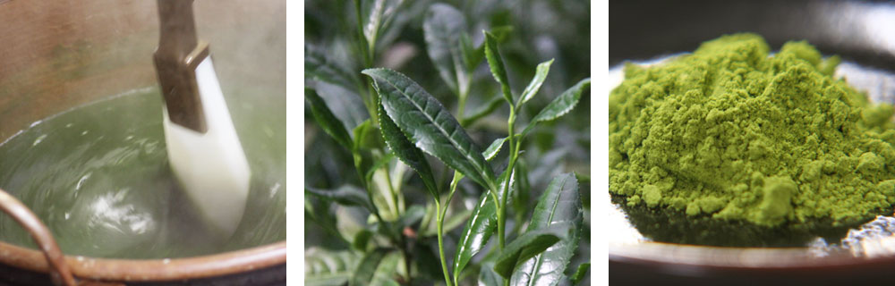 抹茶本わらび餅