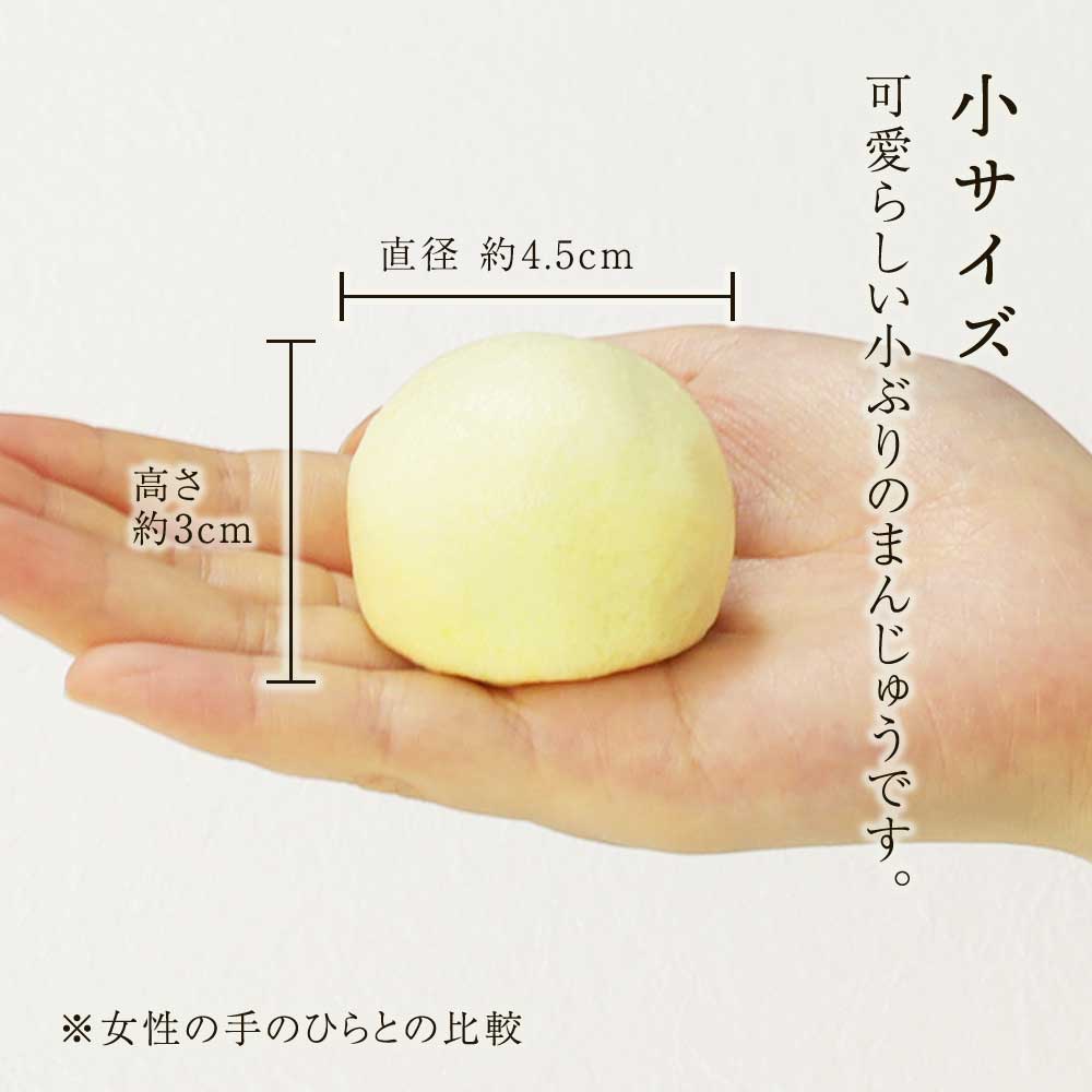 小サイズの大きさ