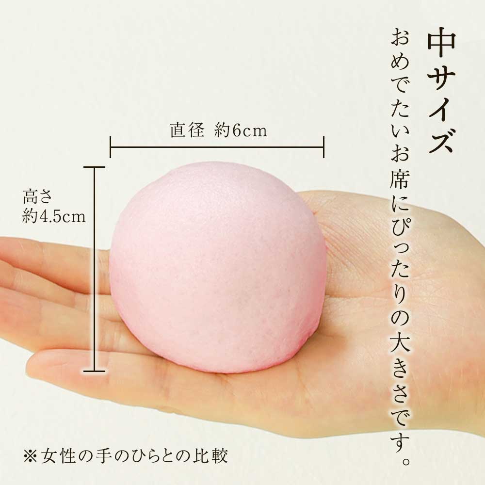 中サイズの大きさ