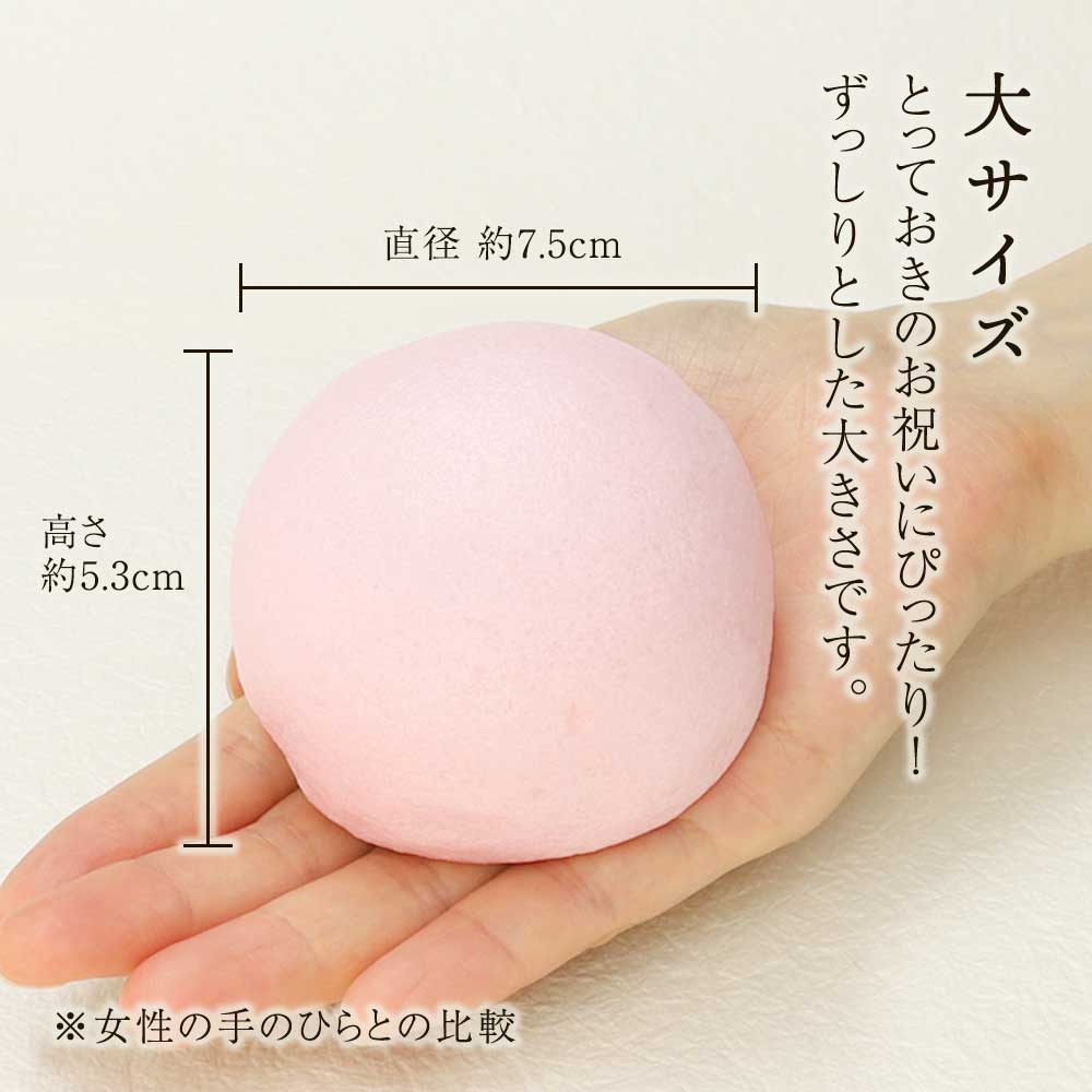 大サイズの大きさ