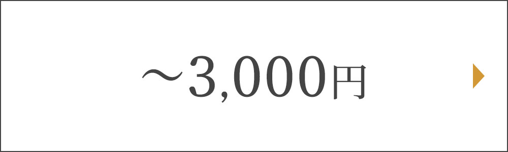 3000円以下