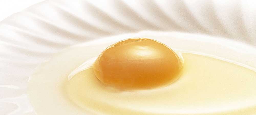 セイアグリー健康卵とは