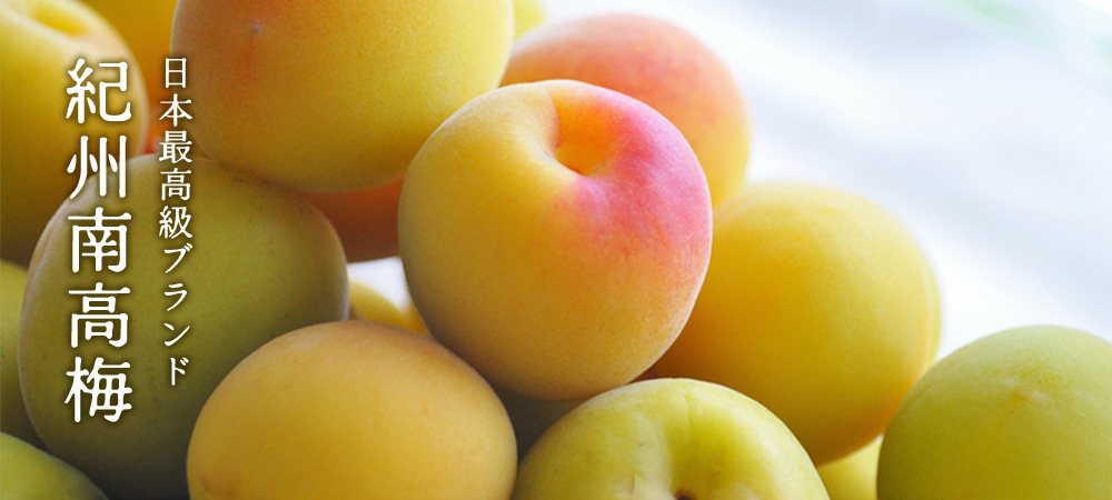 紀州南高梅