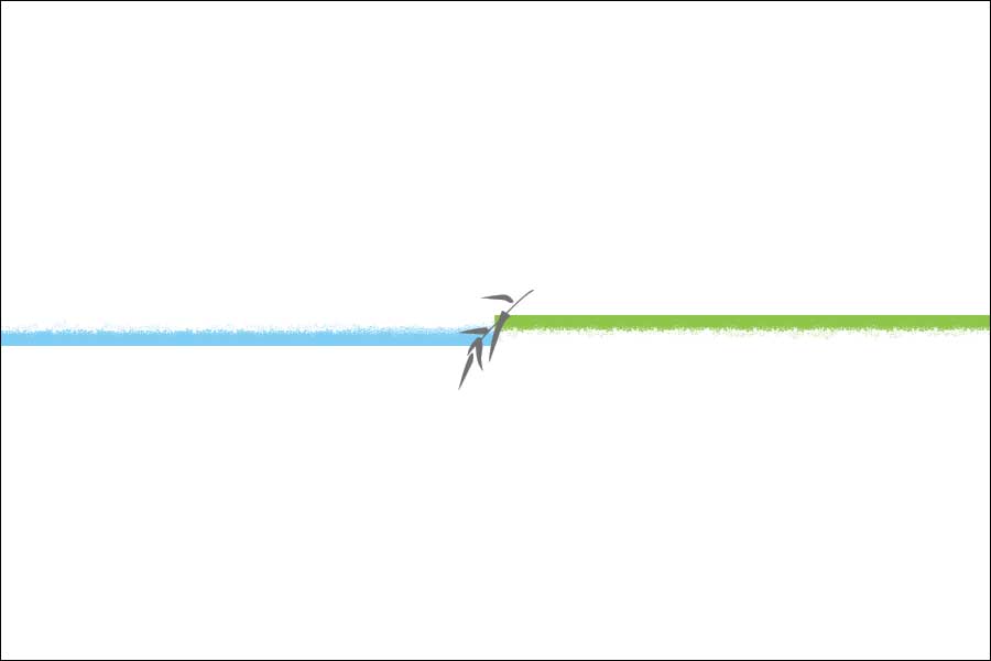 オリジナル水引