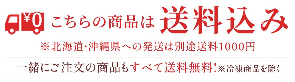 送料込み
