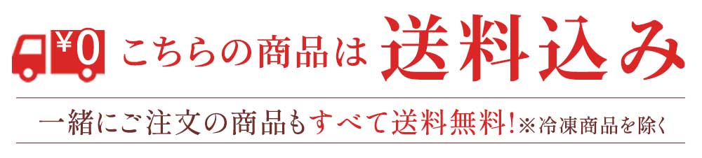 送料込み