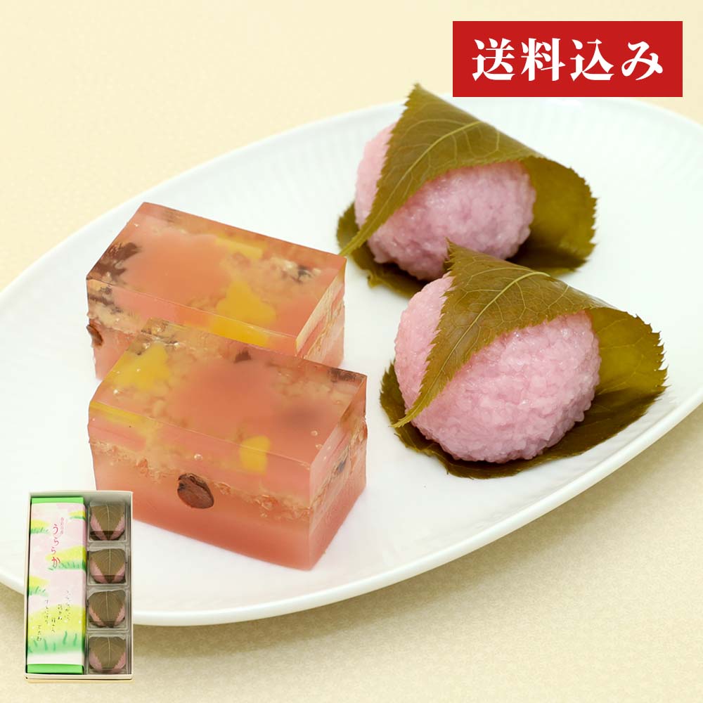 春を楽しむ桜セット