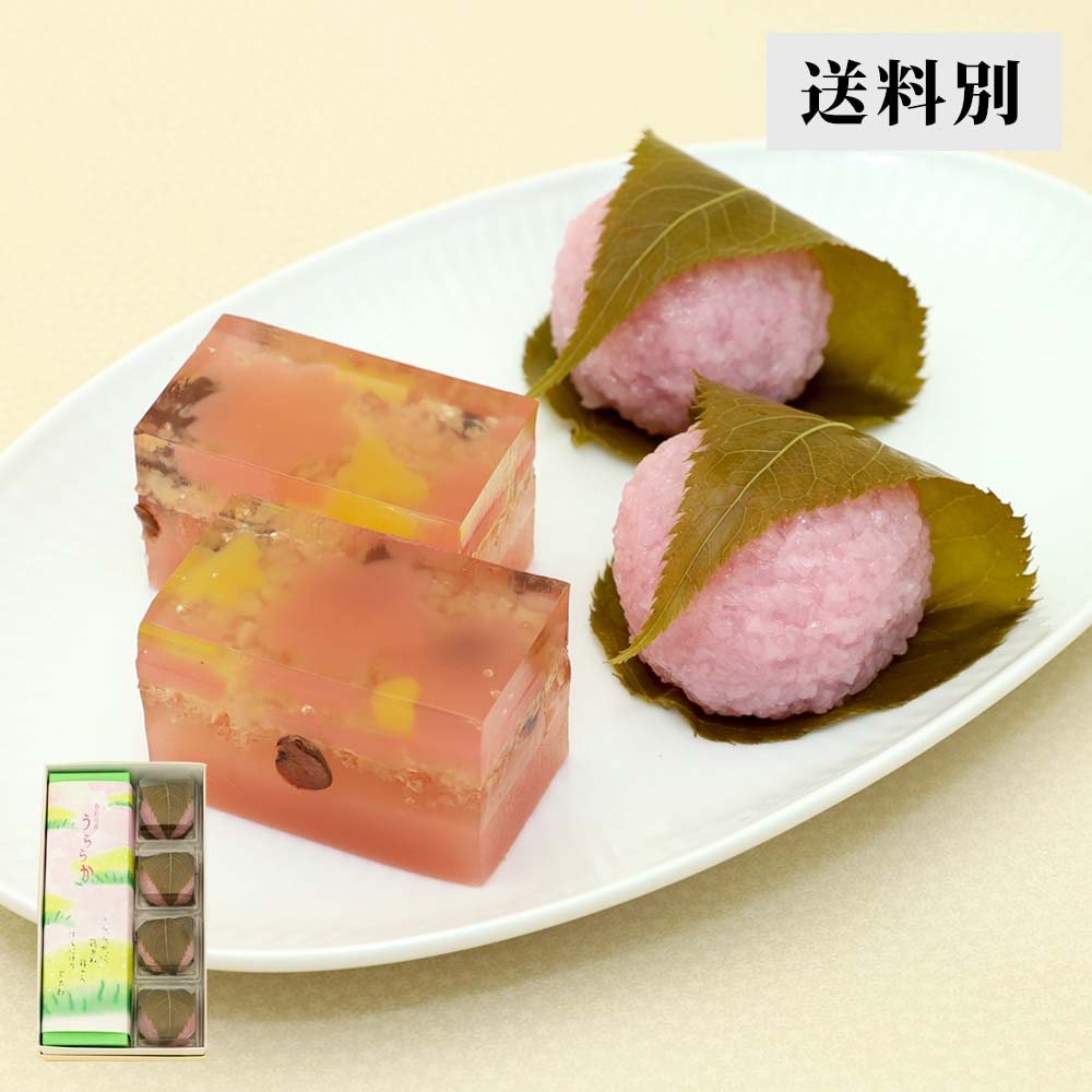  春を楽しむ桜セット【送料別】