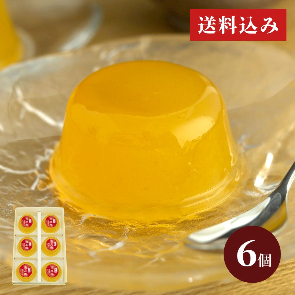 完熟南高梅ゼリー6個入