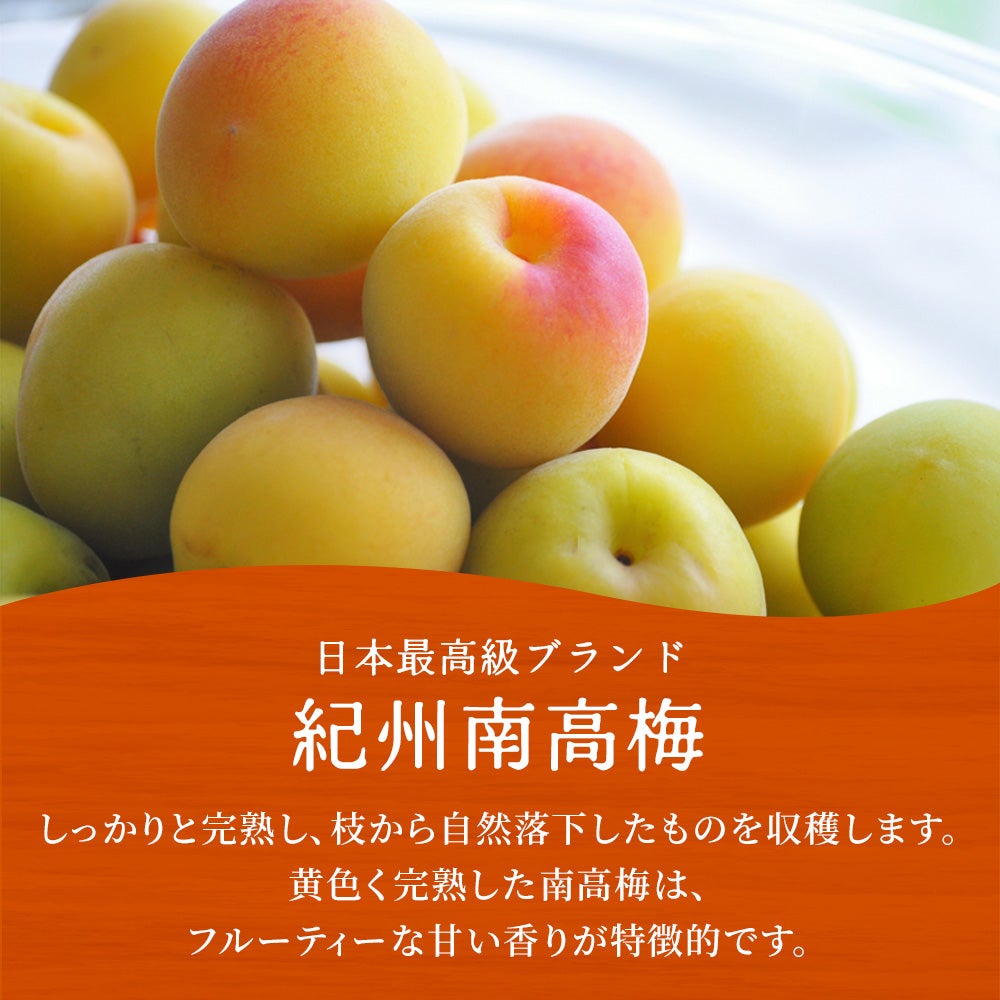 紀州南高梅