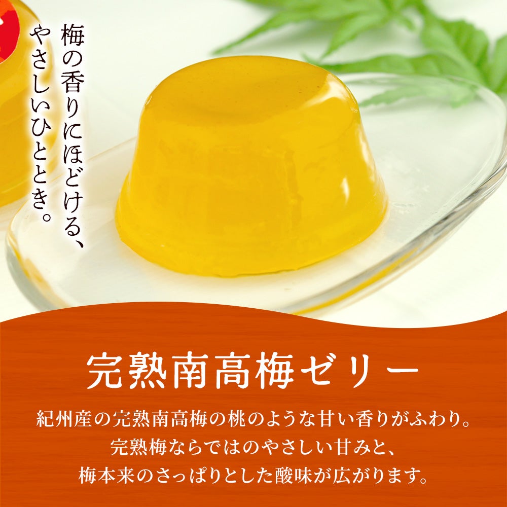 完熟南高梅ゼリー１２個入