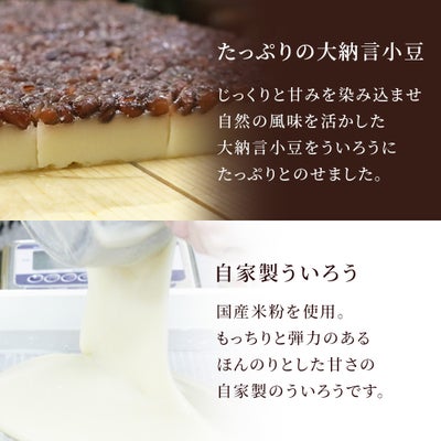 たっぷりの大納言小豆ともっちりとしたういろうの水無月