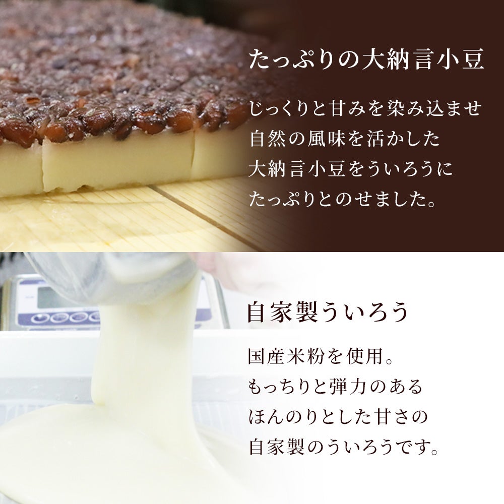 たっぷりの大納言小豆ともっちりとしたういろうの水無月