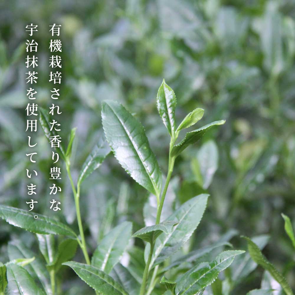 宇治抹茶