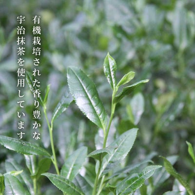 宇治抹茶
